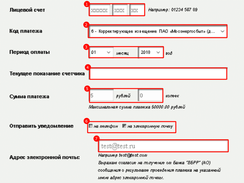 Заполнение формы для оплаты услуг электроэнергии