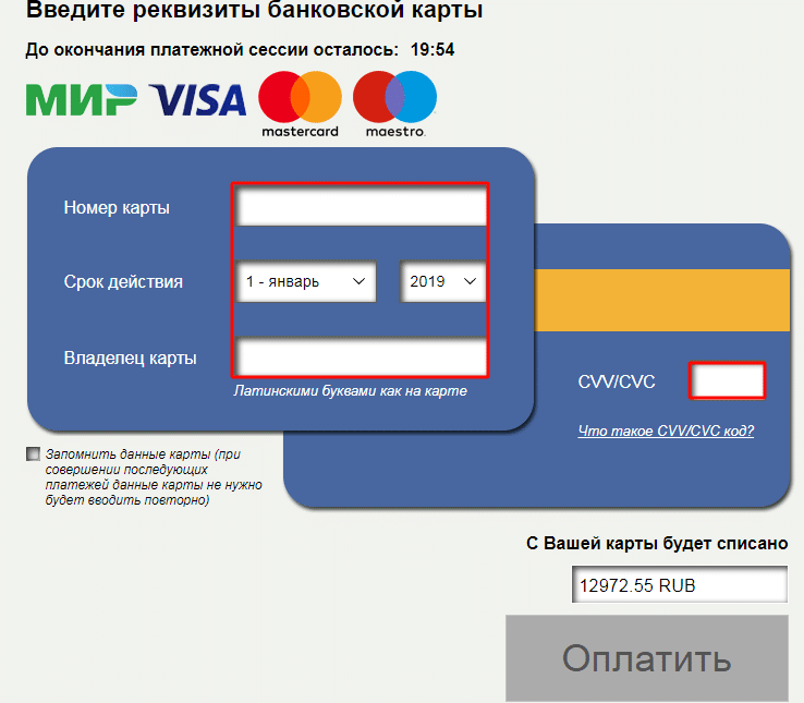Ввод данных карты для оплаты электроэнергии